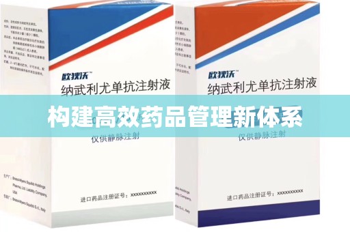 洛阳构建高效药品管理新体系