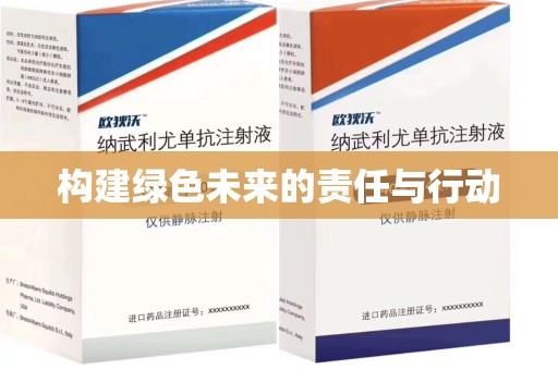 洛阳构建绿色未来的责任与行动
