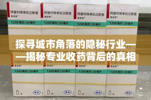 洛阳探寻城市角落的隐秘行业——揭秘专业收药背后的真相