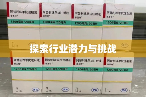 洛阳探索行业潜力与挑战