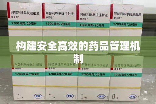 洛阳构建安全高效的药品管理机制